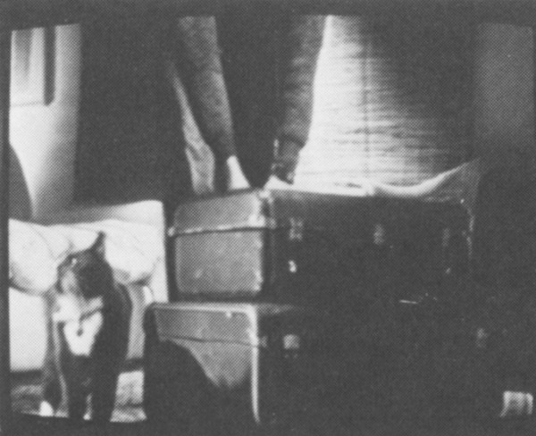 Graham Young, Accidents in the Home, 1986 © De Appel, Amsterdam & de kunstenaar(s)/the artist(s)