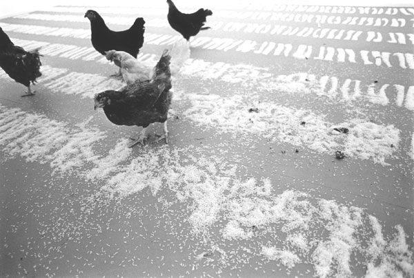 Installatie 2e verdieping De Appel, 1994 II. <em>fotograaf: © Cary Markerink, Amsterdam</em>