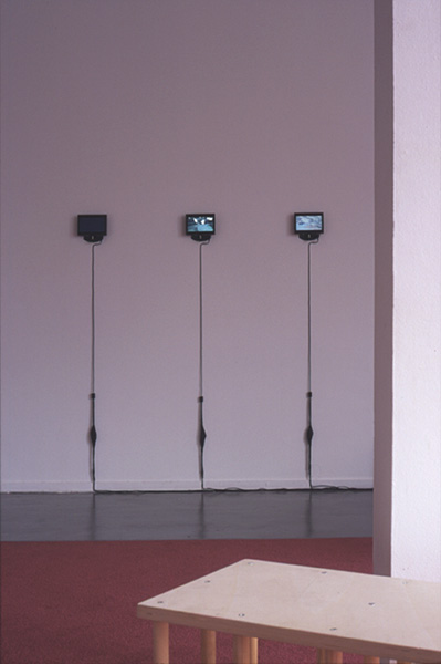 Sven Påhlson, v.l.n.r.: Monopoly I (Mission Series Highland Plan), 2002, Monopoly II (Legacy Series Santa Rosa Plan), 2002 & Monopoly III (Tradition Series Durango Plan, 2002. <em>fotograaf: Ernst Moritz, Den Haag / The Hague</em>
