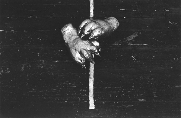 Nikolaus Urban, Paws and comets II. <em>fotograaf: Nikolaus Urban, Amsterdam</em>