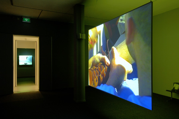 Yael Bartana, Wild Seeds (2005). <em>fotograaf: © Peter Cox, Eindhoven</em> © Peter Cox, Eindhoven