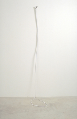 Trisha Donnelly "Untitled", 2001, 16 plaits white hide whip, Collectie Andy Stillpass