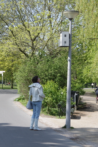 <em>fotograaf: Rogier Taminiau</em>