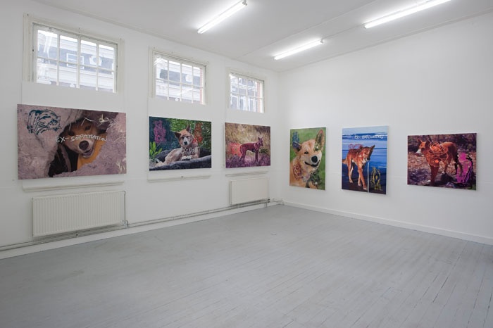 Overzichtsfoto. <em>fotograaf: Cassander Eeftinck-Schattenkerk</em>