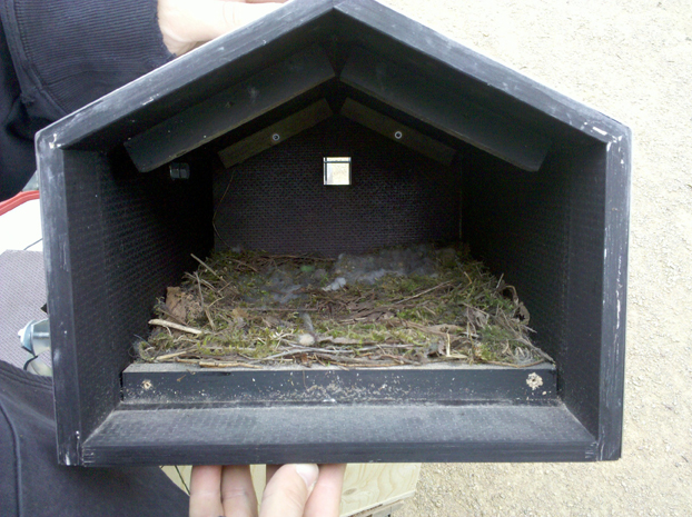 Een vogelhuisje dat in gebruik is genomen door vogels. <em>fotograaf: Marc Oosting</em>