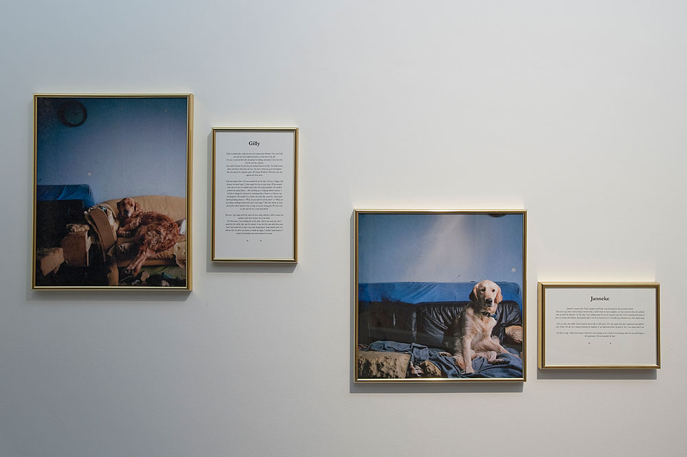 Toshie Takeuchi, ...and the Name of the Dogs&nbsp;(2012)
&nbsp;. <em>fotograaf: Cassander Eeftinck Schattenkerk</em>