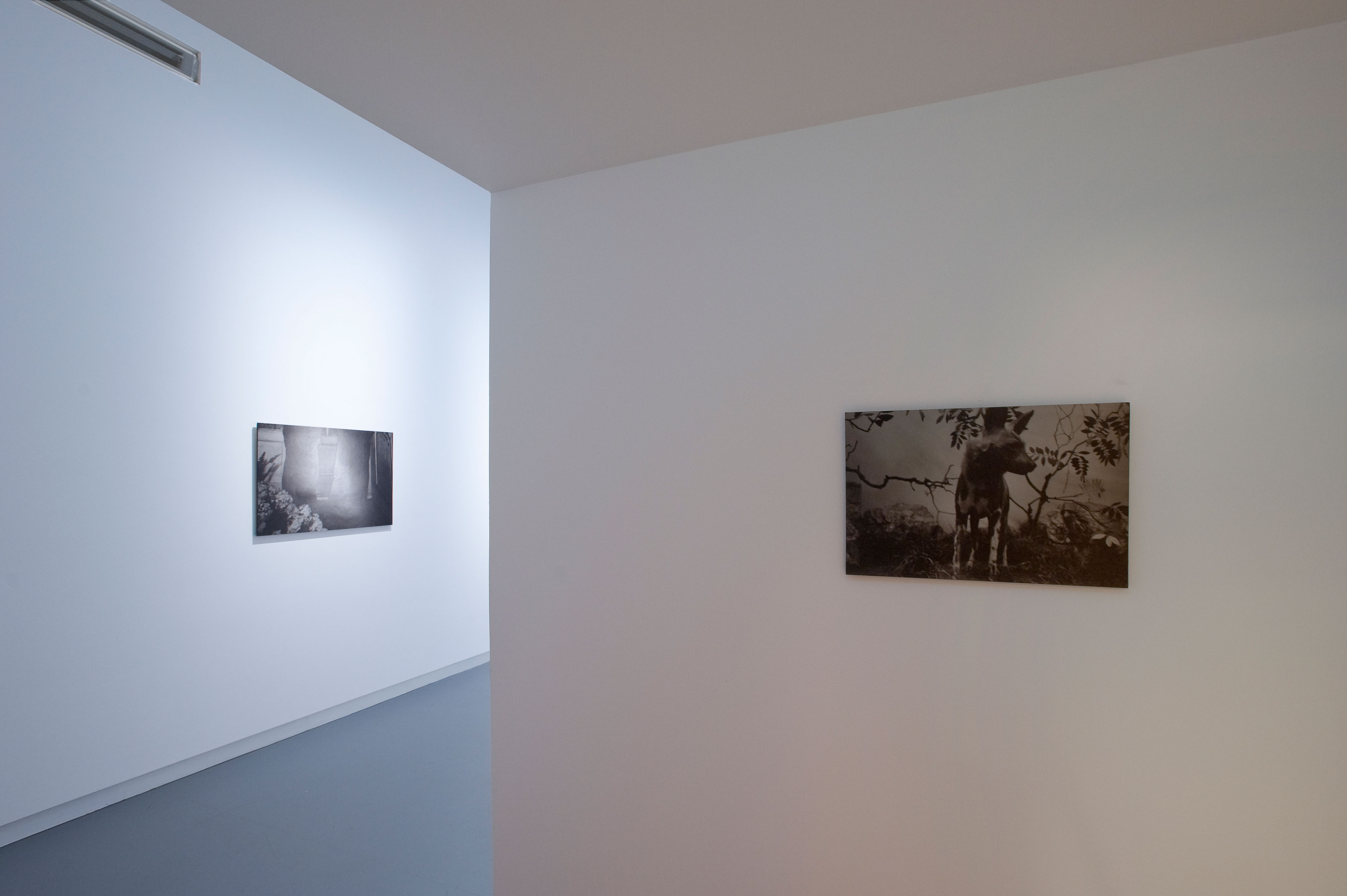 <em>fotograaf: Cassander Eeftick Schattenkerk</em>