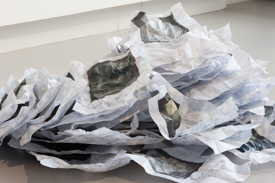 Timmy van Zoelen, Miasmic Revisionism (Clinical PDF)2013, Paper, ink, wax. <em>fotograaf: Cassander Eeftinck Schattenkerk</em>
