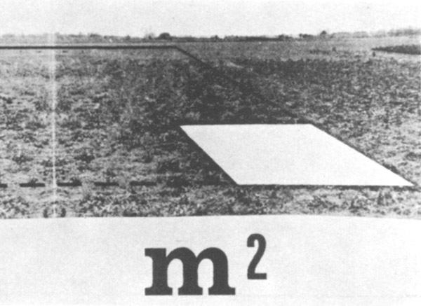 Het territorium van de kunstzinnige m2 © De Appel, Amsterdam & de kunstenaar(s)/the artist(s)