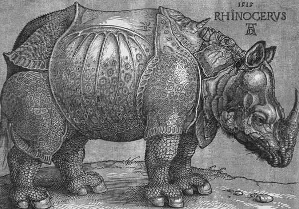 Albrecht Dürer, A Rhinoceros, 1515