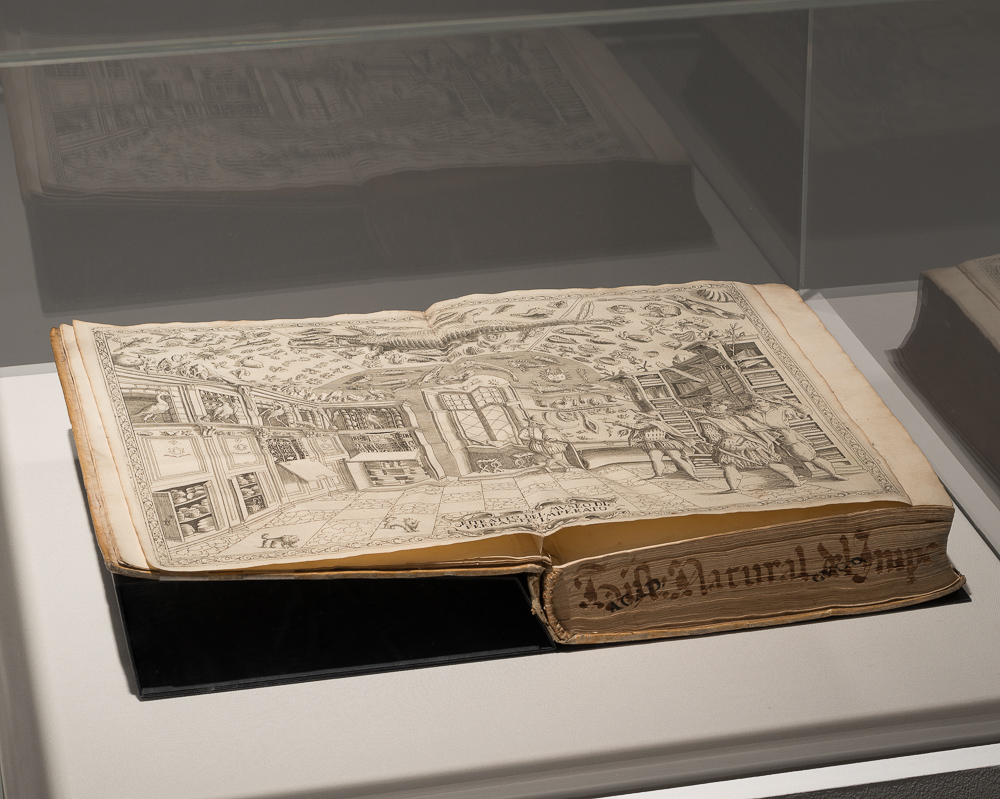 Ferrante Imperato, Dell'Historia Naturale, 1599. Collectie bibliotheek universiteit Leiden. . <em>fotograaf: Cassander Eeftinck Schattenkerk</em>