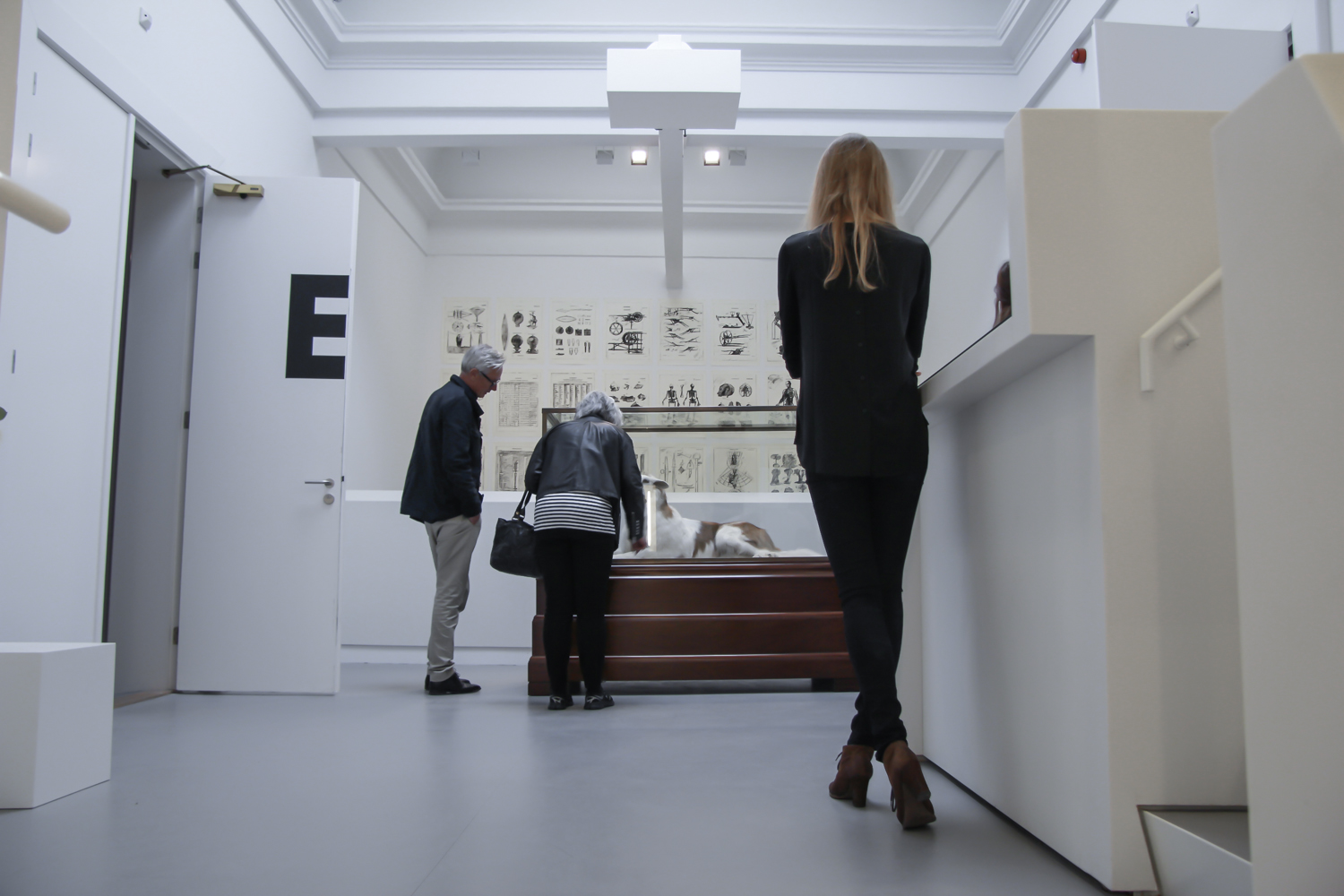 Opening Curiosity, installation view, Curiosity: Art and the Pleasures  of Knowing, de Appel Arts Centre, Amsterdam, 27 June - 14 September  2014. Photo: Carina Erdmann. Courtesy Hayward Touring.