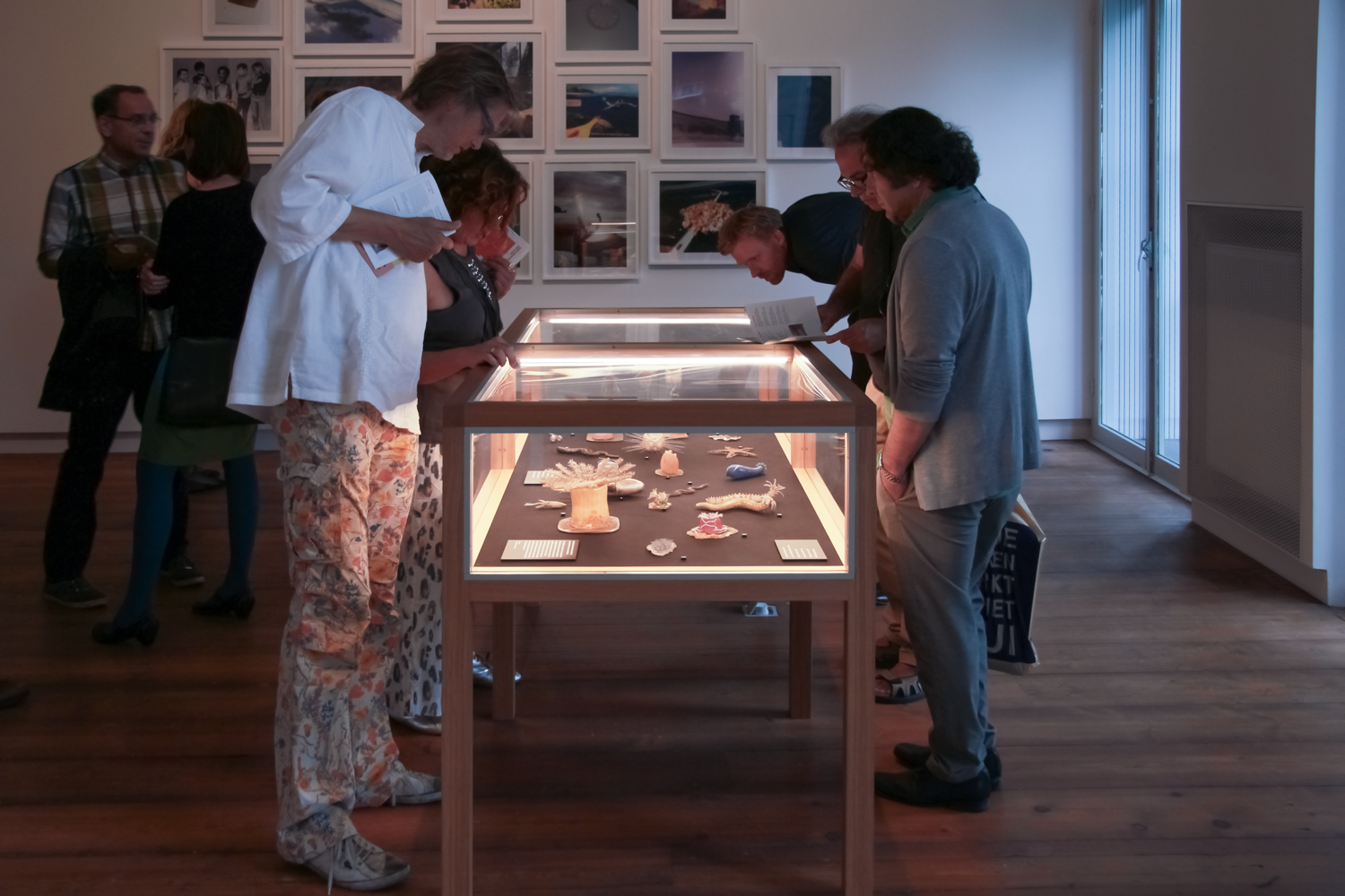 Opening Curiosity, installation view, Curiosity: Art and the Pleasures  of Knowing, de Appel Arts Centre, Amsterdam, 27 June - 14 September  2014. Photo: Carina Erdmann. Courtesy Hayward Touring.