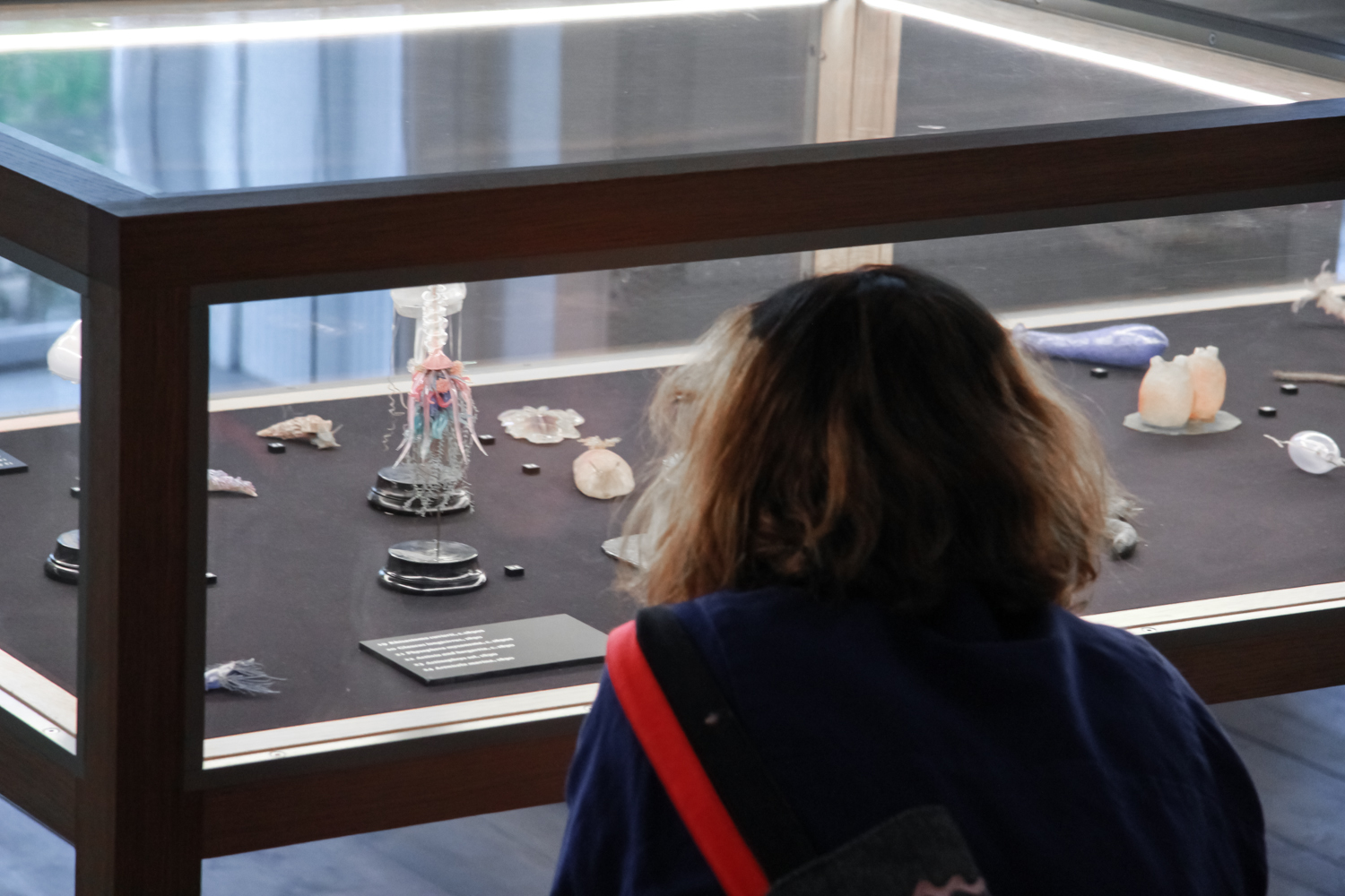 Opening Curiosity, installation view, Curiosity: Art and the Pleasures  of Knowing, de Appel Arts Centre, Amsterdam, 27 June - 14 September  2014. Photo: Carina Erdmann. Courtesy Hayward Touring.
