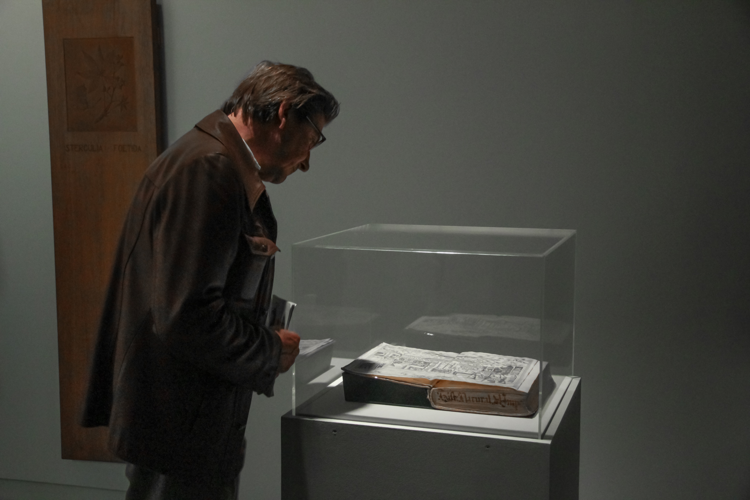 Opening Curiosity, installation view, Curiosity: Art and the Pleasures  of Knowing, de Appel Arts Centre, Amsterdam, 27 June - 14 September  2014. Photo: Carina Erdmann. Courtesy Hayward Touring.