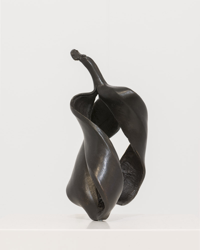 Alicja Kwade, Quantenbanane, 2015
. <em>fotograaf: Cassander Eeftinck Schattenkerk</em>