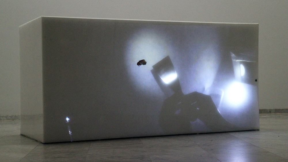 <em>fotograaf: Kevin Gallagher and Taocheng Wang</em>