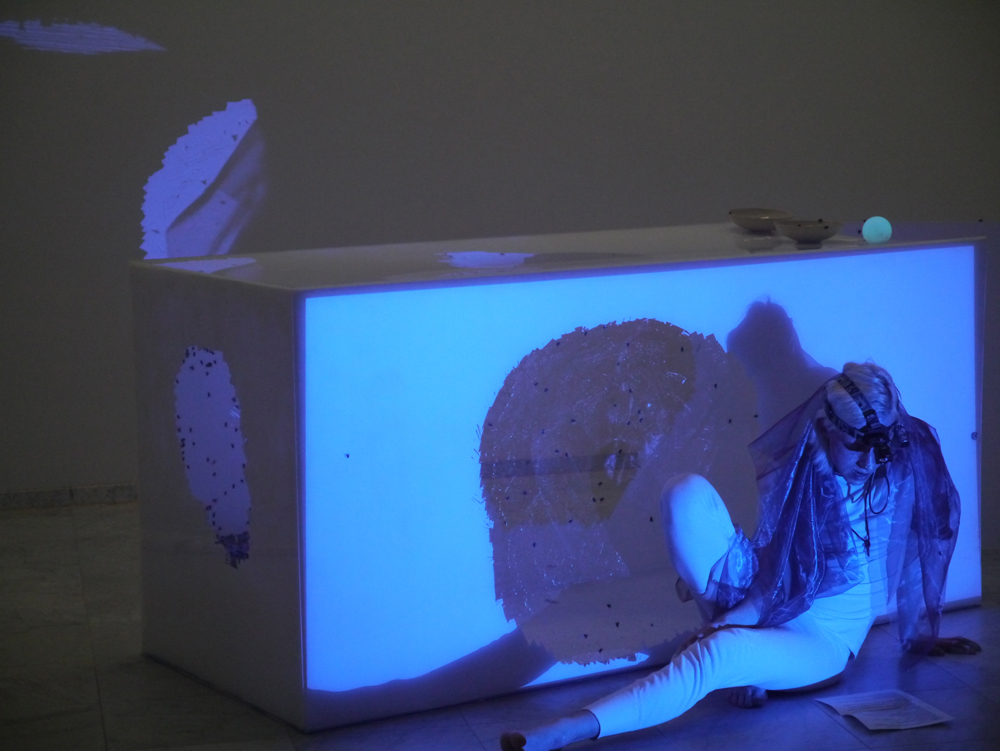 <em>fotograaf: Kevin Gallagher and Taocheng Wang</em>