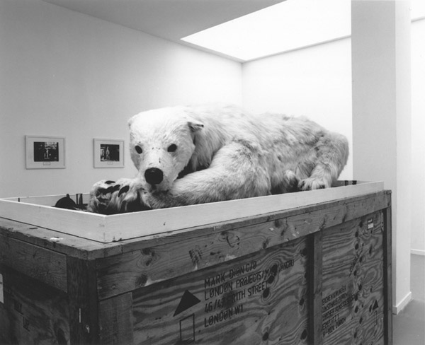 Ursus maritimus, 1995. <em>fotograaf: © T & R Henderson, Amsterdam</em> © De Appel, Amsterdam & de kunstenaar(s)/the artist(s)