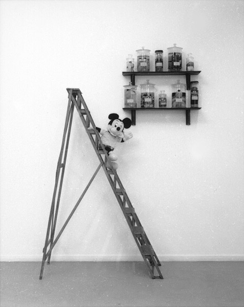 The taxonomy of non-endangered species, 1990. <em>fotograaf: © T & R Henderson, Amsterdam</em> © De Appel, Amsterdam & de kunstenaar(s)/the artist(s)
