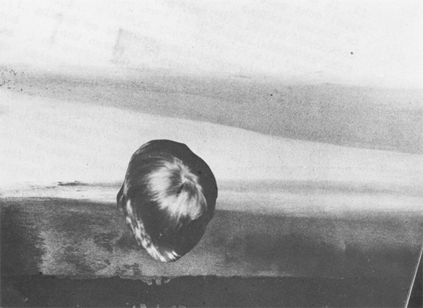 Gebruikt ter illustratie van artikel Huisman in De Appel, 2 (1982) 2, pp. 6-11. II © De Appel, Amsterdam & de kunstenaar(s)/the artist(s)