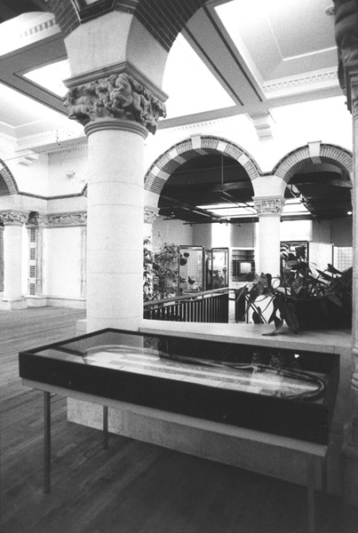 Tropenmuseum, Mauritskade 63, Amsterdam: tafelvitrine met objecten en berichten. <em>fotograaf: © Marijke Mooy, Amsterdam</em> © De Appel, Amsterdam & de kunstenaar(s)/the artist(s)